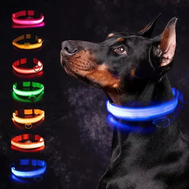 GlowPup™ LED Glowing Dog Collar