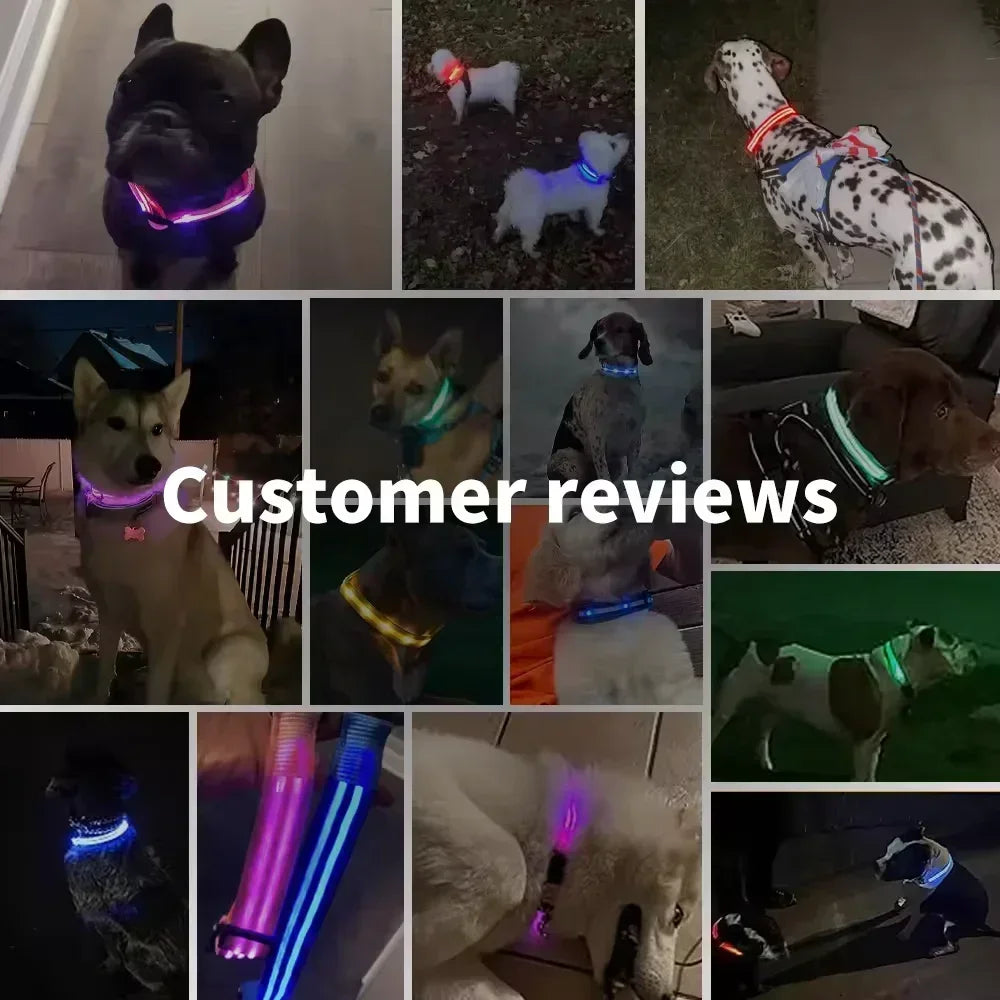GlowPup™ LED Glowing Dog Collar