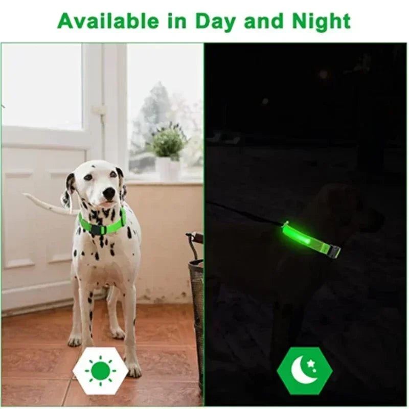 GlowPup™ LED Glowing Dog Collar